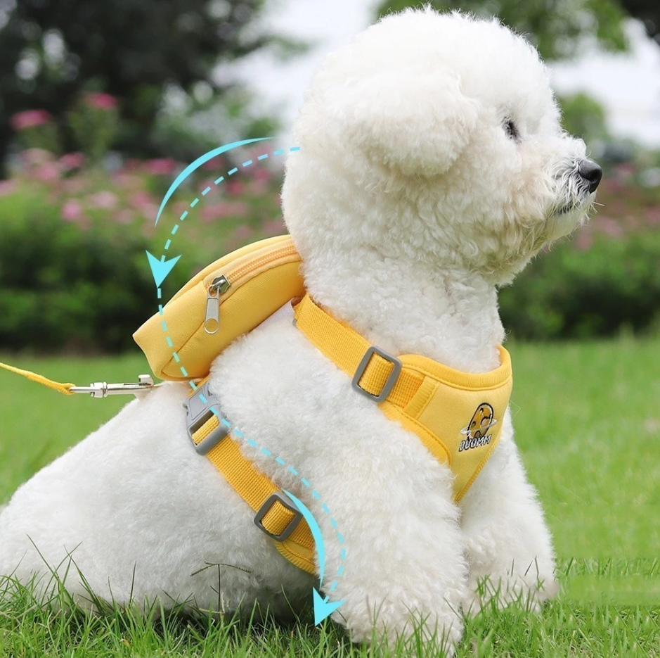 Peitoral com Guia e Bolsa Removível para cães