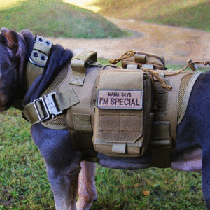 Peitoral tático personalizado para cão